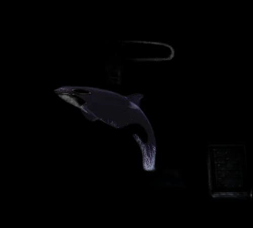 Comgrow T500 3D Printer